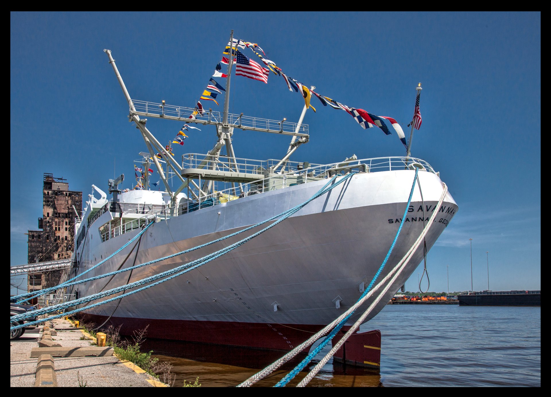 NS Savannah2