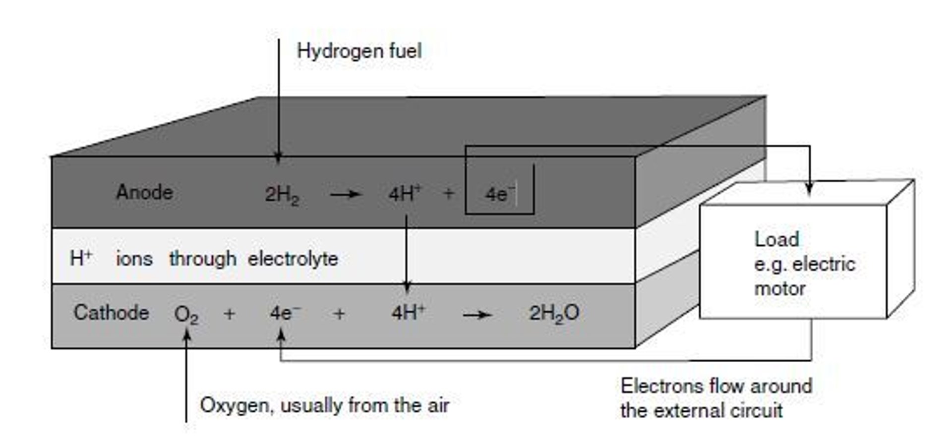 Hydrogen Fuel Cell