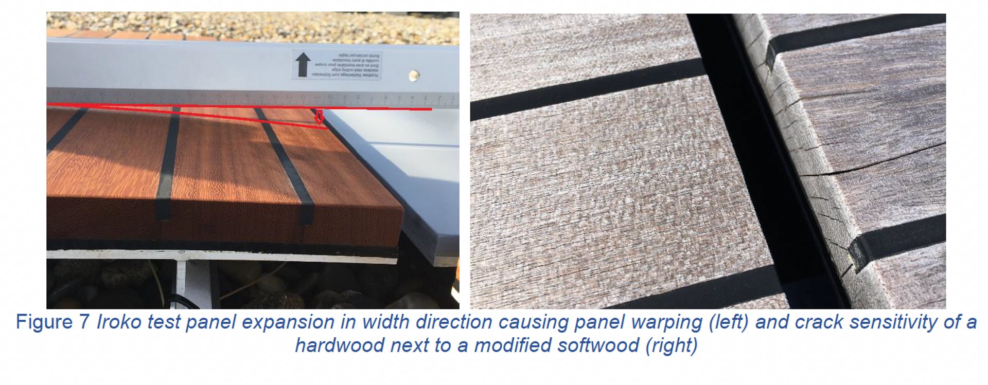 Iroko Test crack
