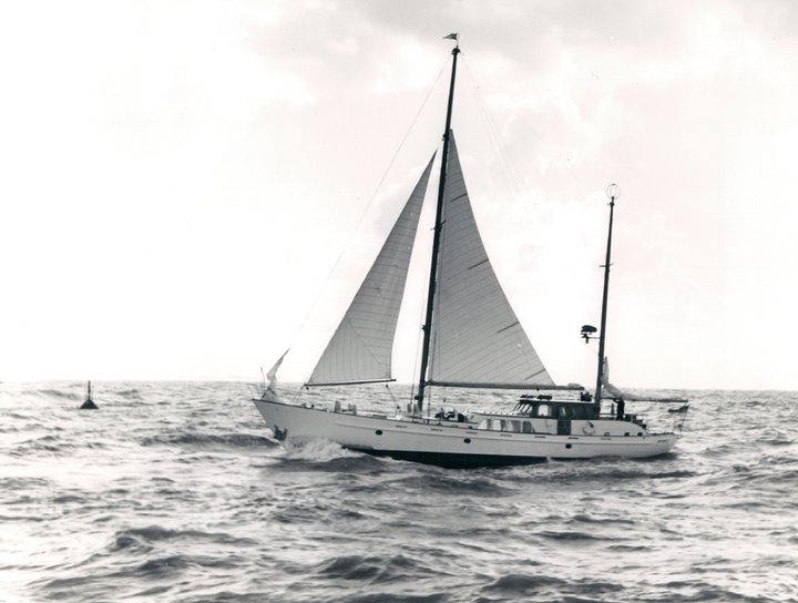580 Meermin Ii