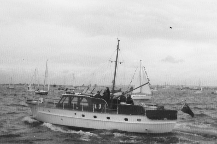 594 Meermin